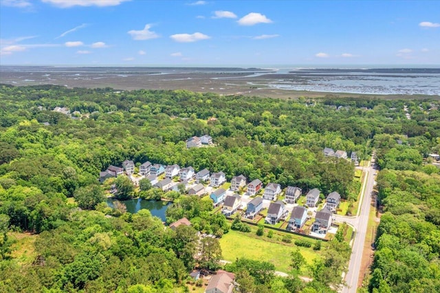 3751 Copahee Sound Dr, Mount Pleasant, SC 29466 - aerial view of a forest and a nearby body of water