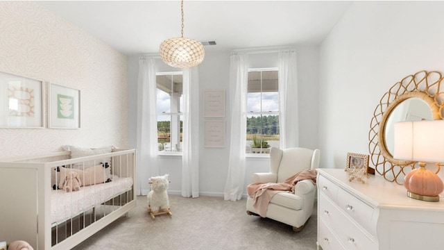 bedroom with carpet floors