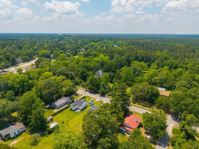 171 N Main St, Ridgeville, SC 29472 - drone / aerial view of a heavily wooded area