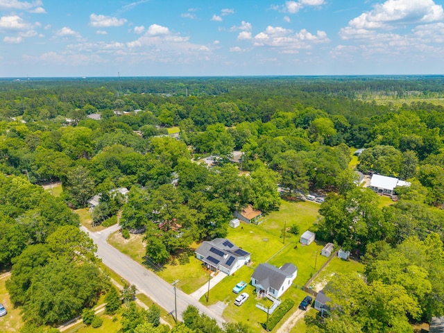 171 N Main St, Ridgeville, SC 29472 - bird's eye view of a forest