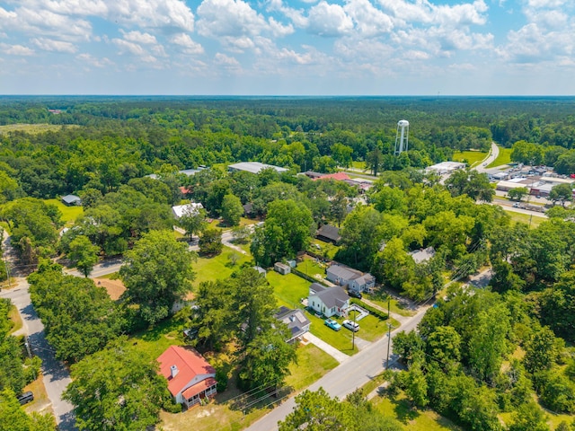 171 N Main St, Ridgeville, SC 29472 - bird's eye view of a heavily wooded area