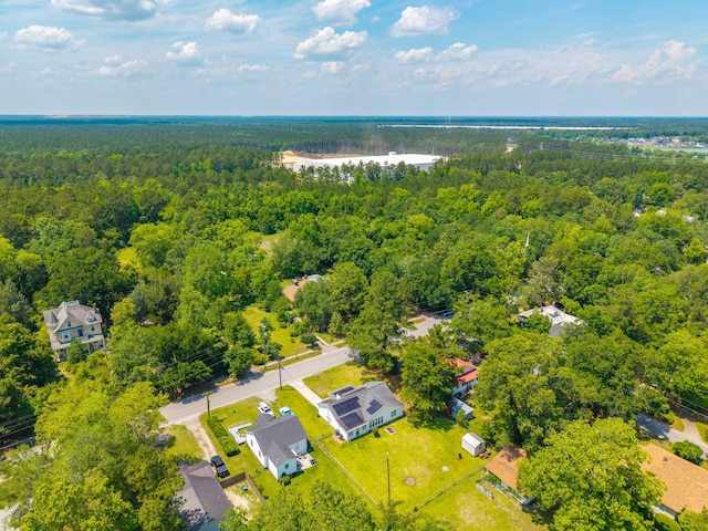 171 N Main St, Ridgeville, SC 29472 - aerial view of a forest
