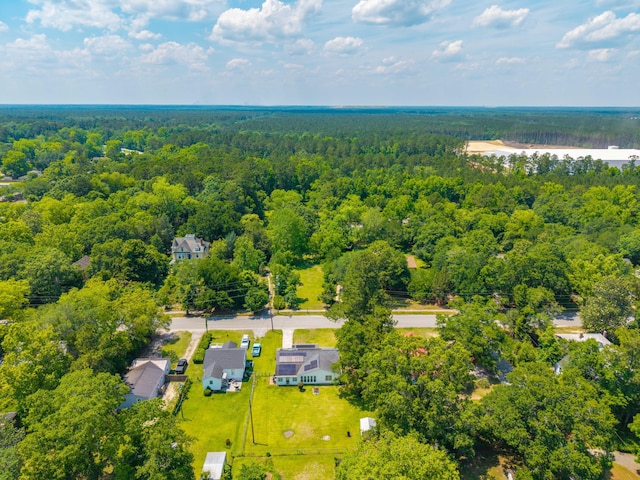 171 N Main St, Ridgeville, SC 29472 - aerial view of a forest