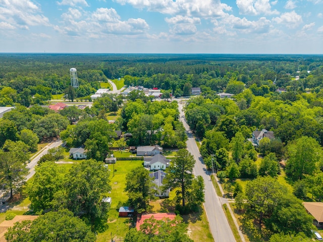171 N Main St, Ridgeville, SC 29472 - bird's eye view of a forest