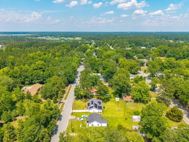 171 N Main St, Ridgeville, SC 29472 - drone / aerial view of a heavily wooded area