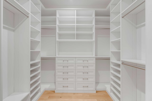 spacious closet featuring light wood-style flooring