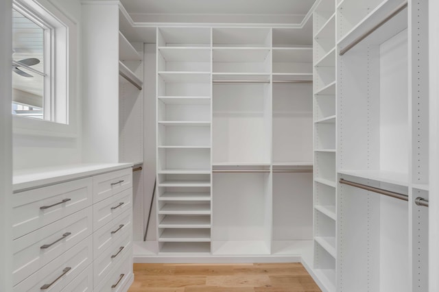 spacious closet with light wood-style flooring