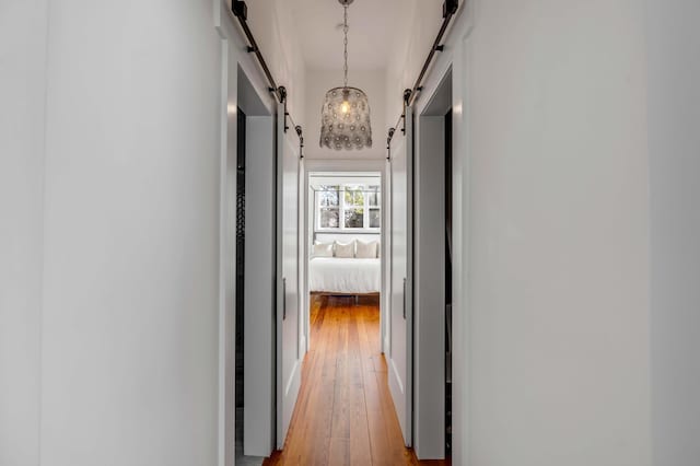 hall featuring light hardwood / wood-style floors and a barn door