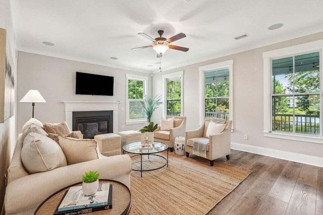 living room with wood-type flooring, ceiling fan, and crown molding