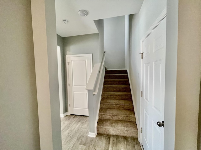 staircase featuring wood-type flooring