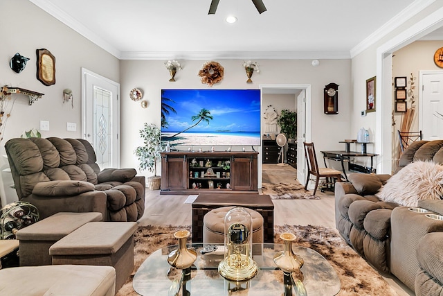 living room with ceiling fan, ornamental molding, and light wood-type flooring