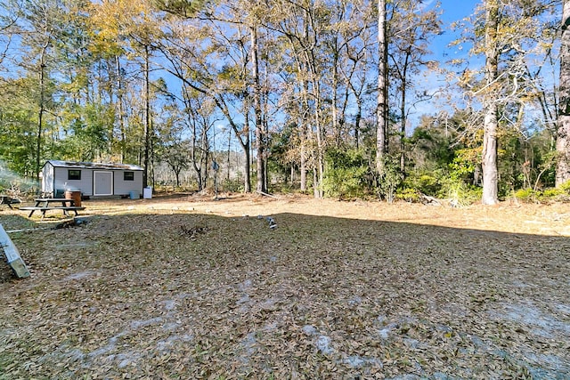 view of yard featuring a storage shed