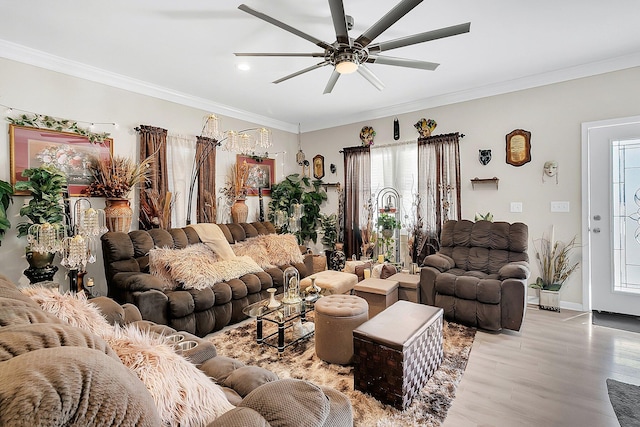 living room featuring ceiling fan, ornamental molding, and light wood-type flooring