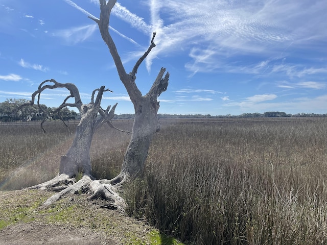 view of local wilderness