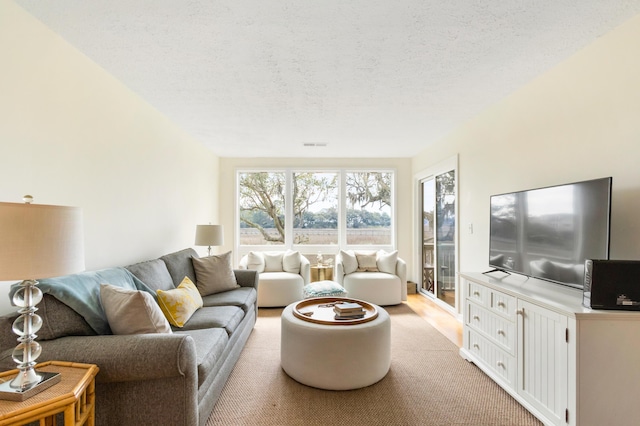 living room with light colored carpet, visible vents, and a textured ceiling