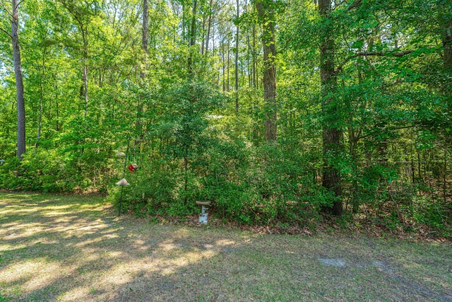 2418 Tuscany Dr, North Charleston, SC 29406 - view of yard with a forest view