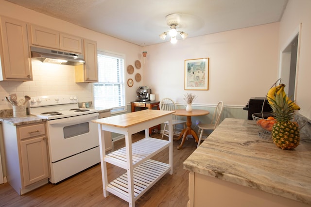 208 Owens Dr, Summerville, SC 29485 - kitchen featuring under cabinet range hood, electric stove, light wood-style flooring, and tasteful backsplash