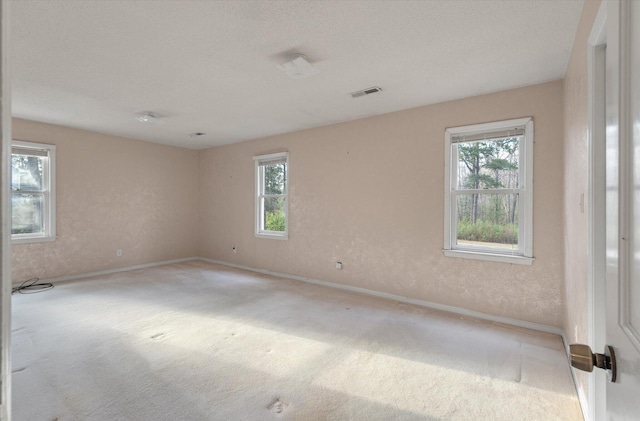 carpeted spare room featuring a wealth of natural light, visible vents, a textured ceiling, and baseboards