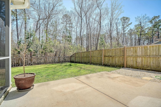 view of yard featuring a patio and a fenced backyard