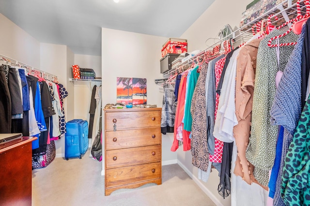 walk in closet with light colored carpet