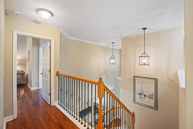 corridor featuring dark hardwood / wood-style floors