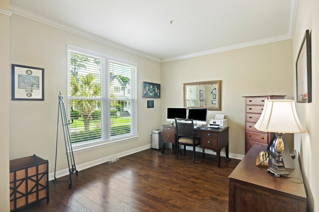 office area featuring ornamental molding and dark hardwood / wood-style floors