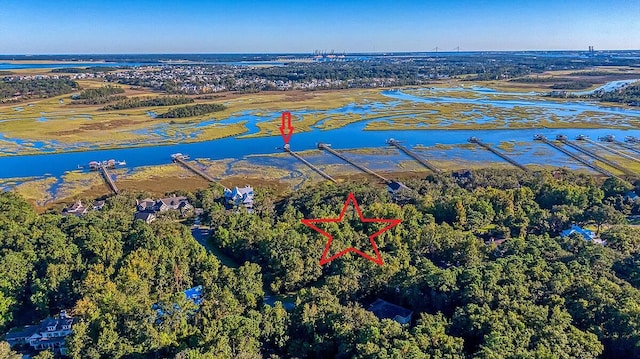 202 Maritime Ln, Charleston SC, 29492 land for sale