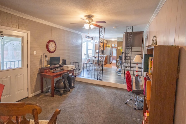 office area with ceiling fan, carpet floors, ornamental molding, and a textured ceiling