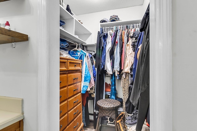 view of walk in closet