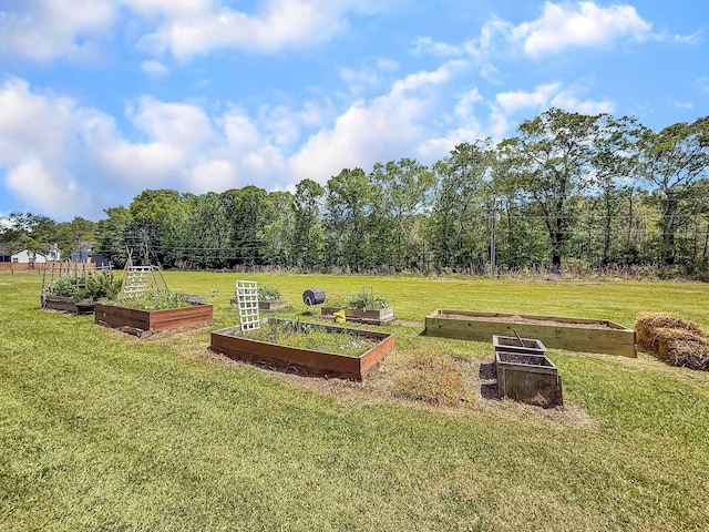 view of yard with a vegetable garden