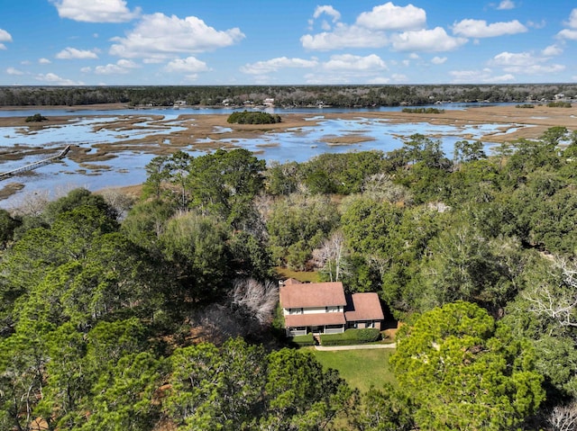 birds eye view of property featuring a water view and a wooded view