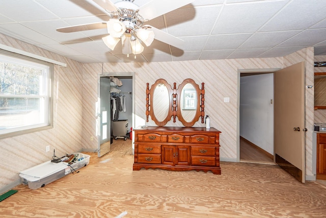 bedroom featuring a walk in closet, a closet, a drop ceiling, and ceiling fan