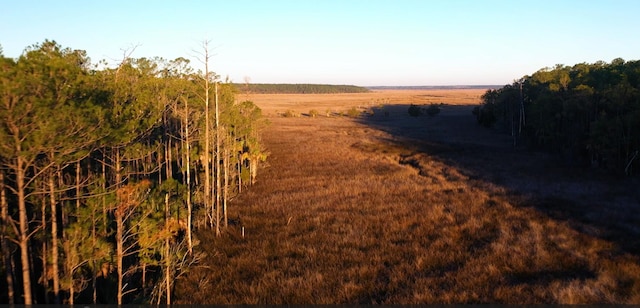 view of local wilderness