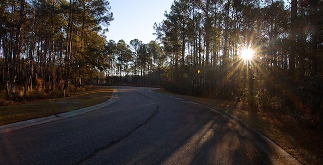 view of road featuring curbs