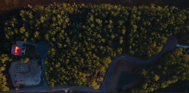 aerial view