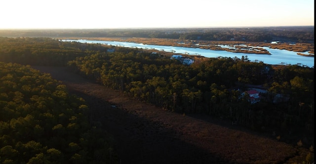 drone / aerial view featuring a water view and a wooded view