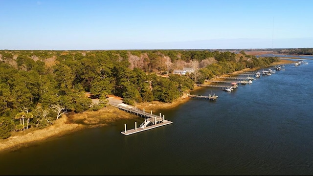 drone / aerial view with a water view and a wooded view