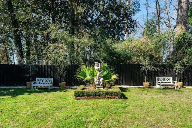 view of yard featuring a fenced backyard