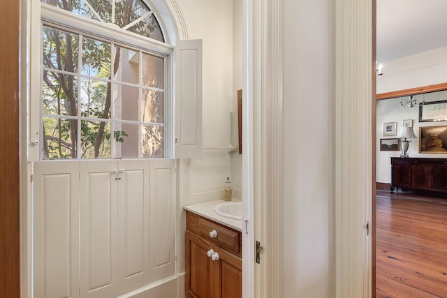 bathroom with a healthy amount of sunlight, vanity, and hardwood / wood-style flooring