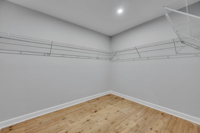 spacious closet featuring hardwood / wood-style floors