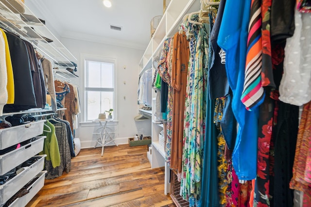 walk in closet with hardwood / wood-style flooring