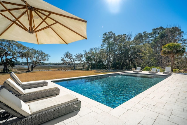 view of pool with a patio area