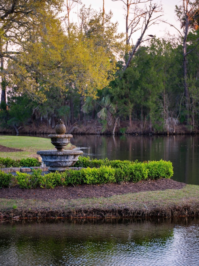 view of property view of water