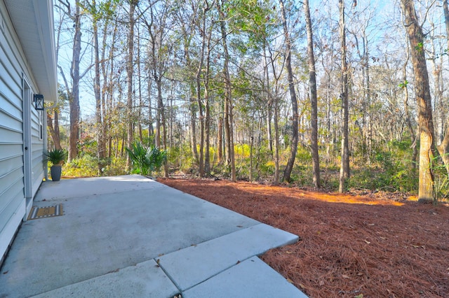 view of yard with a patio area