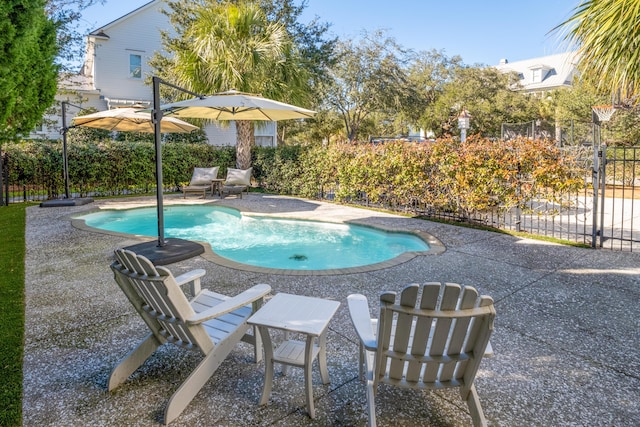 view of swimming pool featuring a patio