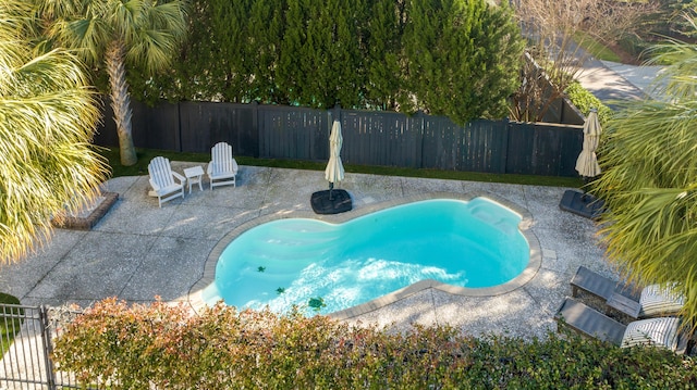 view of swimming pool with a patio