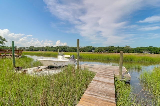 1468 N Relyea Ave, Charleston, SC 29412 - dock with a water view