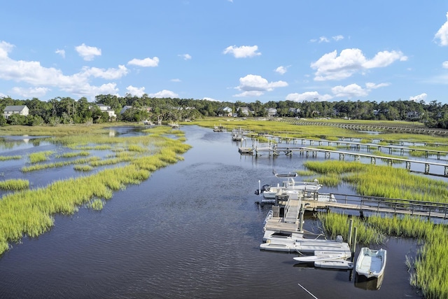 view of water feature with a boat dock