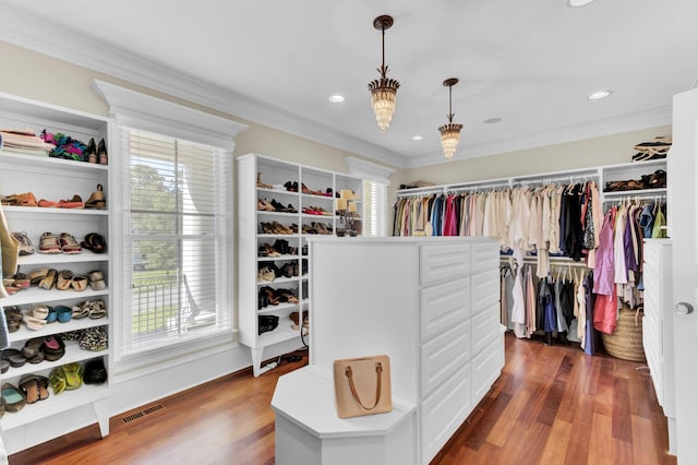 walk in closet featuring dark hardwood / wood-style flooring