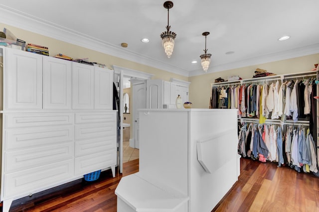 spacious closet with dark hardwood / wood-style flooring